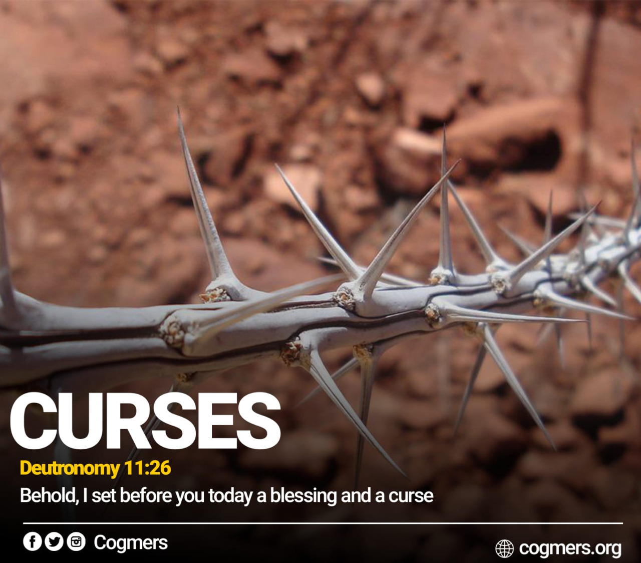 CURSES - Part One