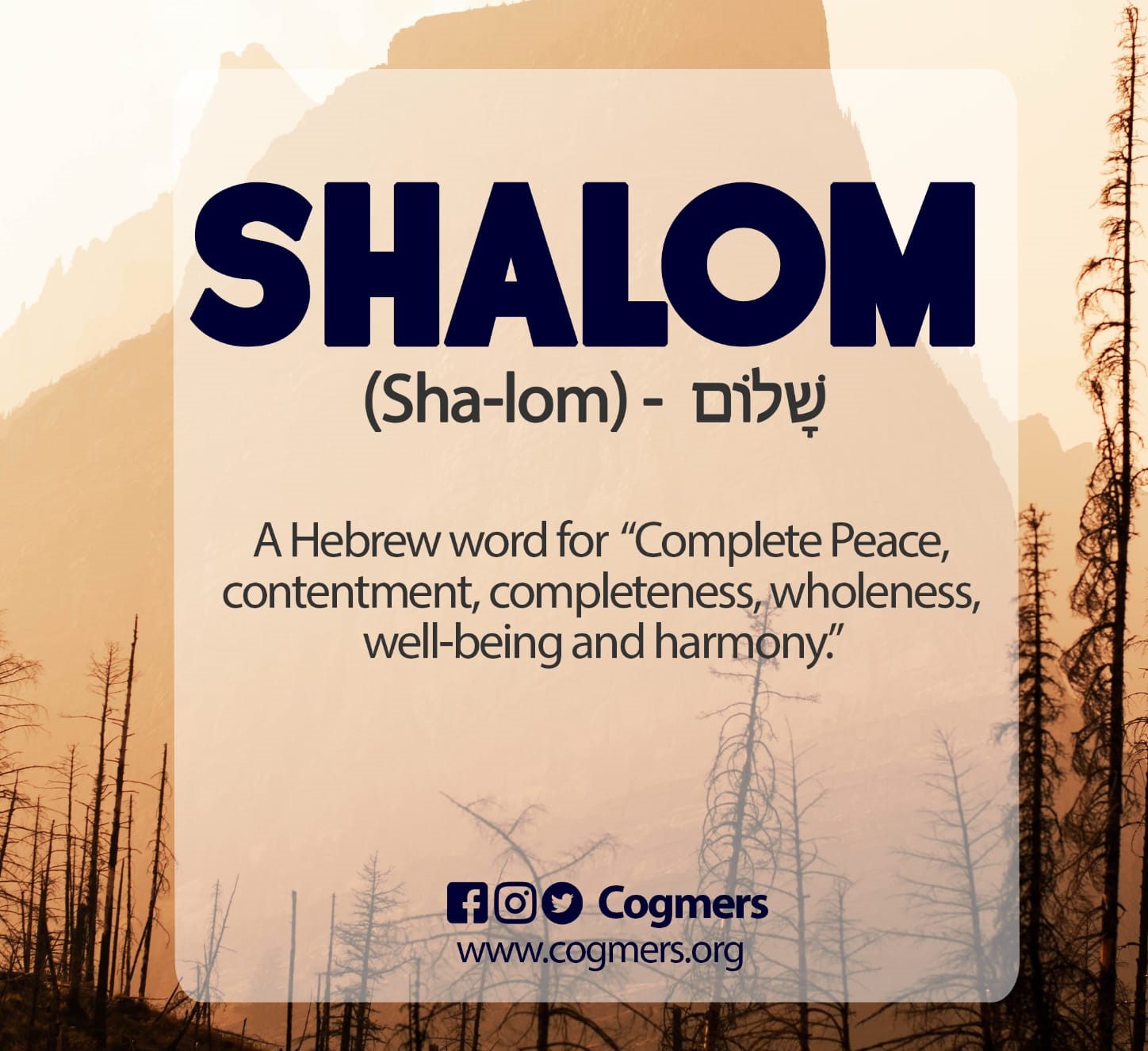 Shalom